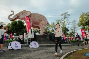 BIB: 
                            <button type="button" onclick="openModal(26529161)" class="btn btn-primary btn-sm float-right btn-popup" data-toggle="modal" data-target=".modal-high-quality">
                        <i class="fas fa-shopping-cart"></i> Add to Cart
                    </button>
                                            <button type="button" onclick="isThisMe(26529161, true)" class="btn btn-success btn-sm float-right btn-popup btn-isme hidden" data-toggle="tooltip" data-placement="bottom" title="นี่คือรูปของคุณใช่ไหม คลิกที่นี่เพื่อเอาเข้าอัลบั้ม">
                        <i class="fas fa-plus"></i> Add to album
                    </button>
                    <button type="button" onclick="isThisMe(26529161, false)" class="btn btn-warning btn-sm float-right btn-popup btn-isnotme hidden">
                        <i class="fas fa-ban"></i> Remove from album
                    </button>